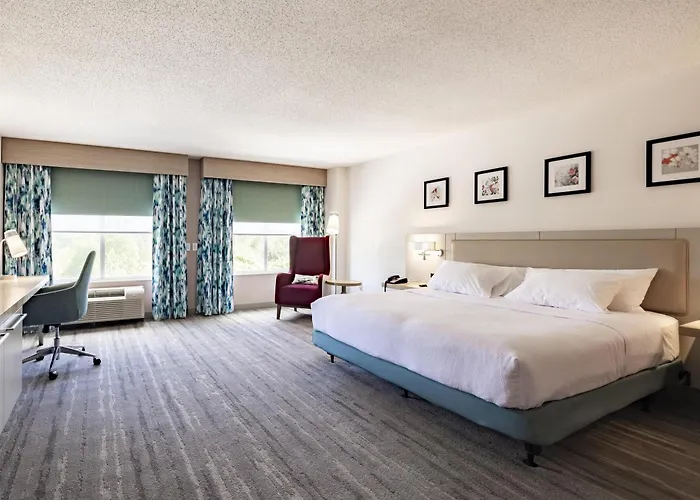 Albany Hotels with a View